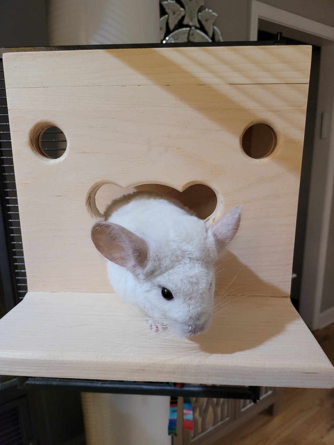 Chinchilla Hanging Hideout House Poop Guard Roof and Front Etsy