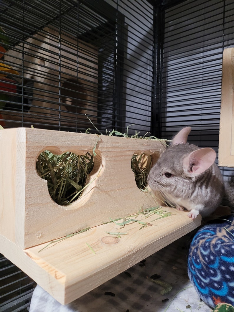 Chinchilla Hanging Hay Feeder Box with Chinchilla Face Feeder Etsy