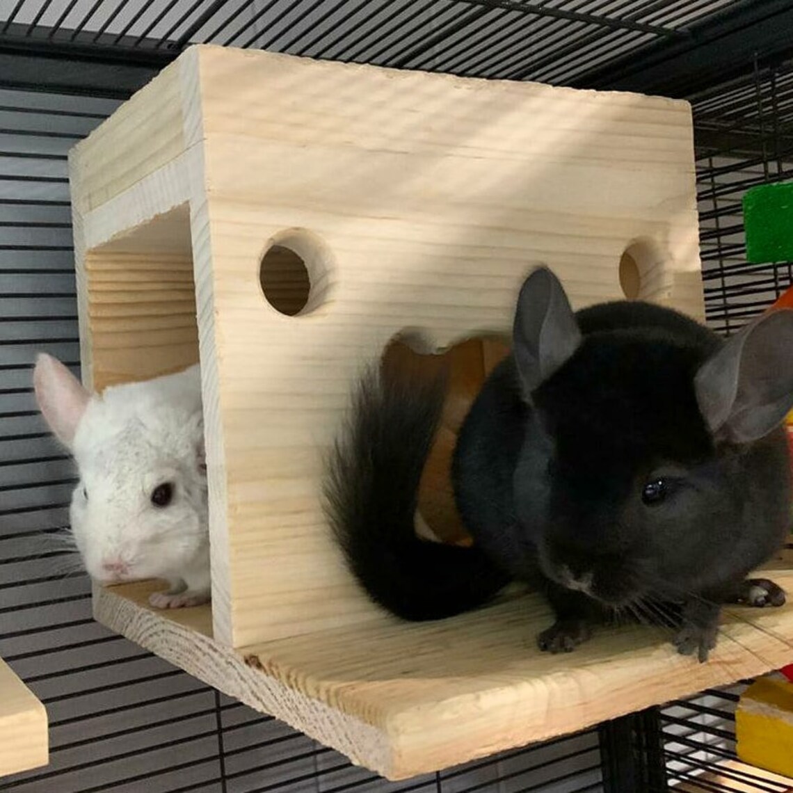 Chinchilla Hanging Hideout House Poop Guard Roof and Front Etsy Ireland