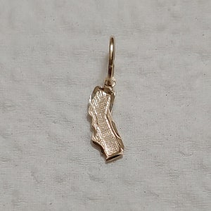 New 14k Yellow Gold Little California Charm Pendant