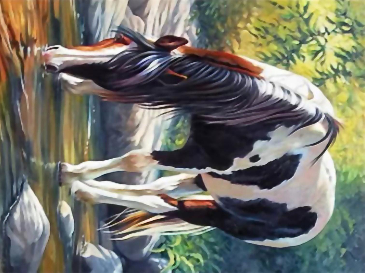 馬のラッチフックラグキット：大型DIYタペストリー、プリント