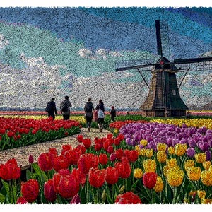 May include: A traditional Dutch windmill stands in a field of colorful tulips. The windmill has wooden blades and a dark brown roof. The tulips are in rows of red, purple, and yellow.
