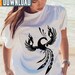 Rising Phoenix SVG Bundle, Clipart Vector (digital Download) - Etsy