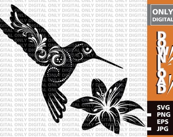Download Hummingbird Mandala Etsy