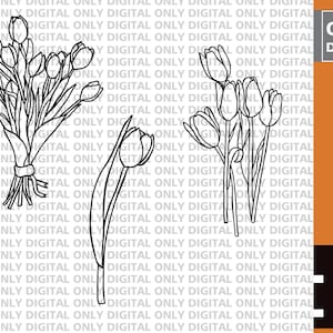Tulip svg,  tulips svg,tulips clipart,  tulips svg bundle, tulip png, flower bouquet svg