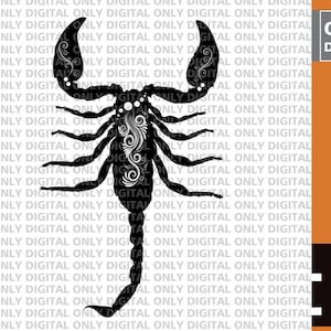 Cute scorpion  svg,scorpio svg,  scorpion  svg, scorpion clipart,scorpion vector, scorpion png, scorpion clip art