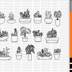 Succulent svg, succulent clipart,houseplant svg, greenery clipart , cactus svg bundle ,hand drawn svg , plants svg