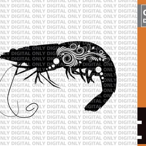 Cute shrimp svg, shrimp svg, shrimp clipart, shrimp cut file, love shrimp svg,  shrimp bundle ,  shrimp png