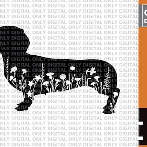 Floral dachshund svg , dachshund svg bundle , dachshund clipart  , dachshund vector , cute dachshund svg