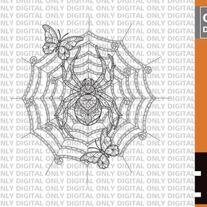 Spider web svg, Spider svg, butterfly svg,  spiderweb svg , spider bundle svg , corner web svg , spider vector, cute spider svg