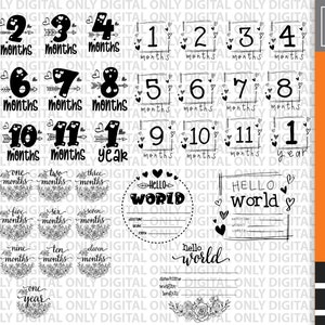 Baby  rounds svg, Baby milestone rounds svg, hello world svg, flower baby rounds svg, announcement svg, baby svg, baby sign svg