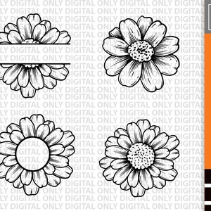 Daisy monogram svg bundle , daisy svg monogram , daisy flower monogram svg, daisy flower svg, daisy clipart , daisy vector