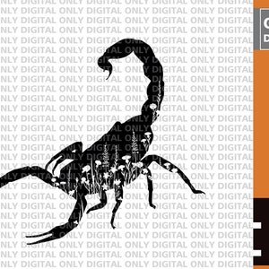 Floral scorpion silhouette svg, scorpion svg , fichier vectoriel scorpion floral , clipart scorpion , faisceau svg scorpion
