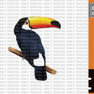 Toucan svg , Toucan PNG, Toucan bundle, Toucan clipart, printable Toucan svg