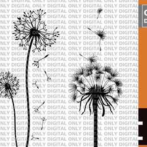 Dandelion svg ,Printable dandelion svg,png,eps,jpg,dandalion svg , png, eps,jpg