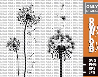 Dandelion (svg, png, eps, jpg) Digital Download