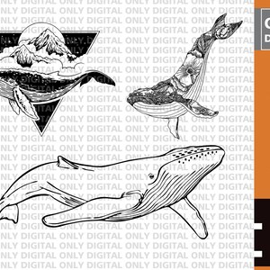 May include: Black and white whale illustrations. One whale has a mountain and cloud design, another is filled with floral patterns, and the third is a simple outline. The image includes the text "ONLY DIGITAL" and "DOWNLOAD" with file type options.