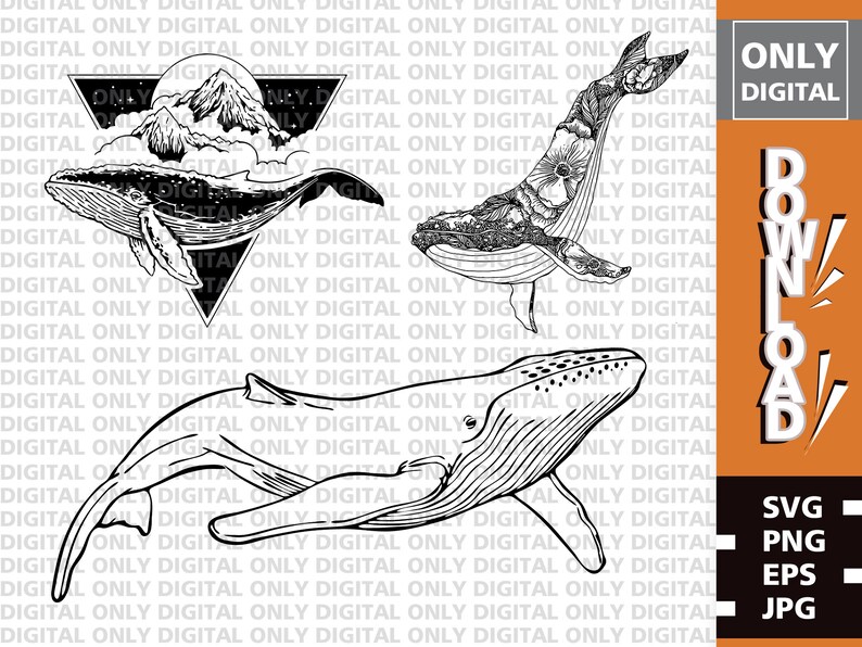 May include: Black and white whale illustrations. One whale has a mountain and cloud design, another is filled with floral patterns, and the third is a simple outline. The image includes the text "ONLY DIGITAL" and "DOWNLOAD" with file type options.