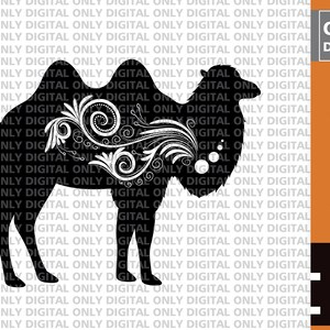 Cute camel  svg, camel  svg, camel  clipart, camel  bundle, camel cut file, camel digital