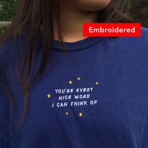 Every Nice Word | cute comfort colors t-shirt, trendy oversized vintage tee embroidered