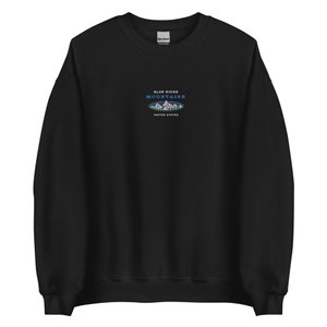 Blue Ridge Mountains Sweatshirt, outdoors vintage crewneck embroidered