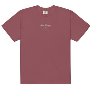 San Diego vintage t-shirt embroidered, comfort colors california graphic tee oversized