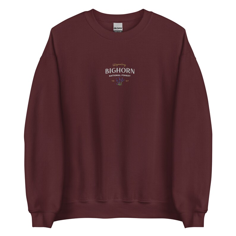 Bighorn National Forest Sweatshirt, vintage embroidered wyoming sweater