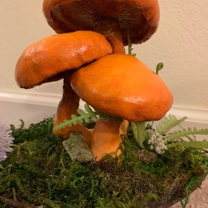 Cogumelos de argila em madeira falsa