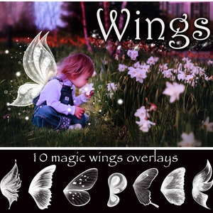 Magical Wings, Fairy Wings, Butterfly Wings, Alas de mariposa, alas de ada. Nakładki Magic Wings, Nakładki Magical Wings, Nakładki Wings