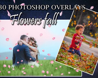 花の秋オーバーレイ、ボケ Photoshop 花の秋オーバーレイ、花のオーバーレイ、ウェディングオーバーレイ、クリスマスオーバーレイ、卒業式オーバーレイ