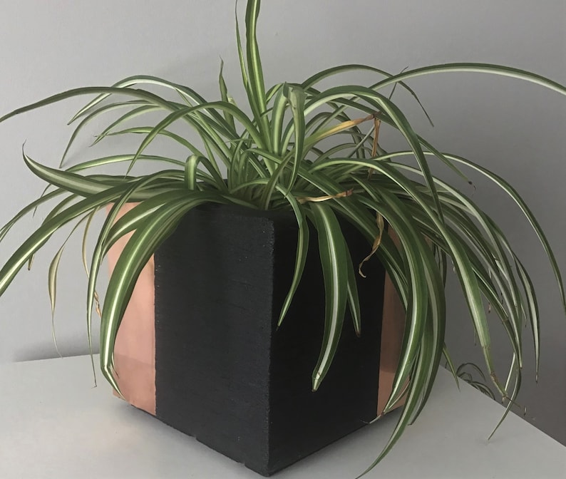 6 and 9 inch set Concrete /& Copper Planter 4