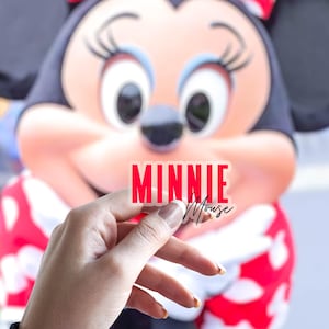 Minnie Mouse /Disney World park map / Laptop Sticker/ Mickey Disney / bullet journal planner / hydroflask decal water bottle