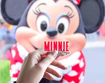 Minnie Mouse /Disney World park map / Laptop Sticker/ Mickey Disney / bullet journal planner / hydroflask decal water bottle