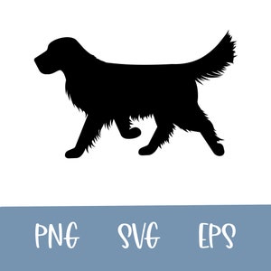 Golden Retriever, Pacchetto SVG Golden Retriever, Clipart cane, Taglia file per silhouette, Cricut, Svg, Png, Golden Retriever Vector Design