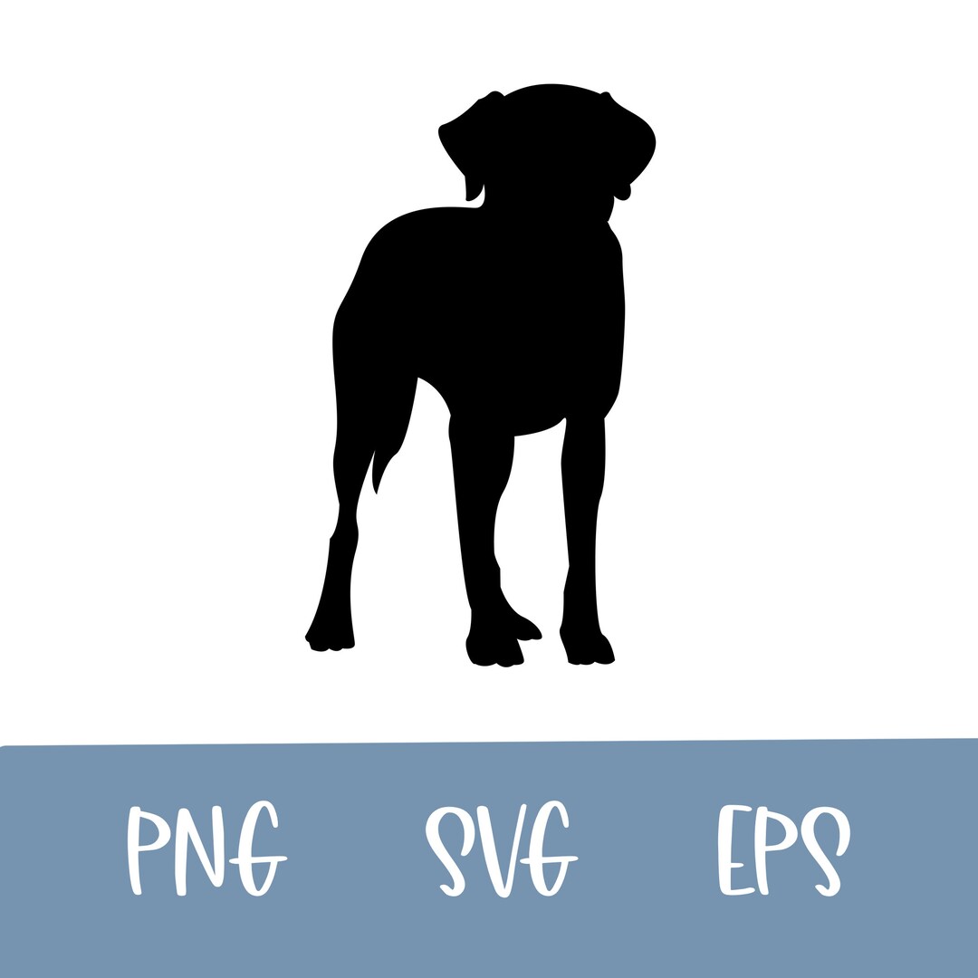 Labrador Retriever, Lab SVG Bundle, Dog Clipart, Cut Files for ...