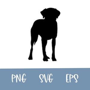 Labrador Retriever, Lab SVG Bundle, dog Clipart, Cut Files For Silhouette, Files for Cricut, Svg, Png, Lab Vector Design