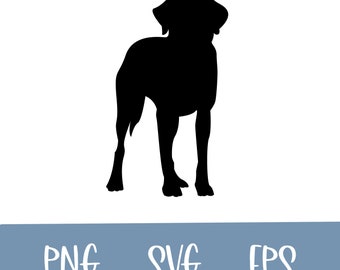 Labrador Retriever, Lab SVG Bundle, chien Clipart, Cut Files For Silhouette, Files for Cricut, Svg, Png, Lab Vector Design
