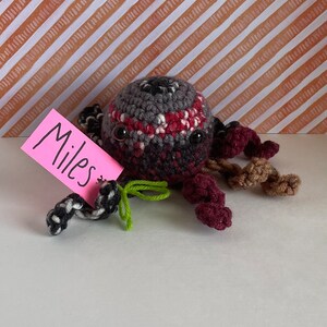 Puede incluir: Una araña de ganchillo hecha a mano con un cuerpo gris, rojo y negro y múltiples patas en tonos marrones y burdeos. Una etiqueta rosa con el nombre "Miles" está sujeta con hilo verde. La araña está sobre una superficie blanca con un fondo a rayas.