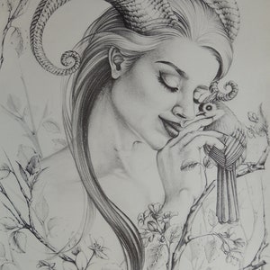 Lovely Bird Limited edition prints made from a 100% Hand Made Pencil Drawing Original Art