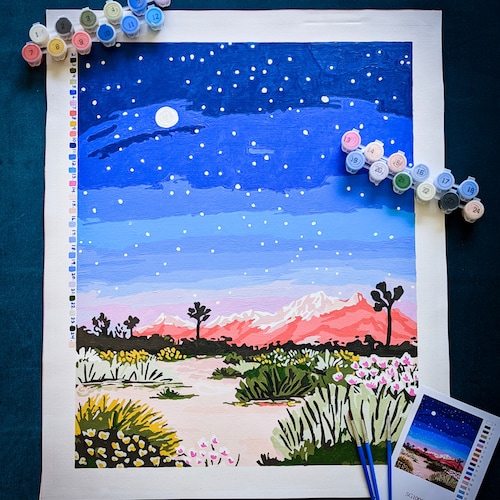 Bright Desert by Sarah Gesek Paint Anywhere Kit Adult Paint by Etsy