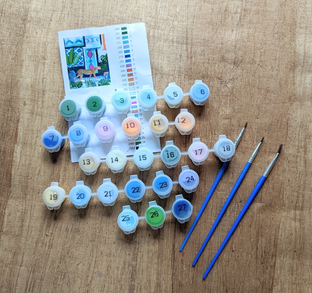 Cheetah in Morocco PAINT SET/ Acrylic Paint Set/paint Pots Etsy