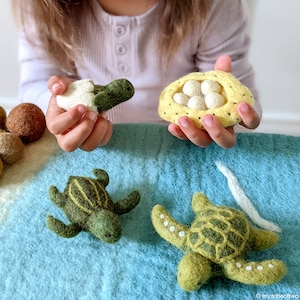 Lifecycle of Green Sea Turtle | Felt Turtles | Felt Turtles Life Cycle Learning Toys | Felt Playbased Learning Toys | Waldorf Learning Toys