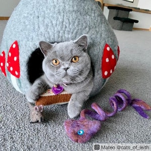 May include: A gray cat with yellow eyes sits inside a gray felt cat bed shaped like a mushroom. The cat bed has red and white mushroom accents. The cat is wearing a pink collar with a heart-shaped tag that says "Vida".