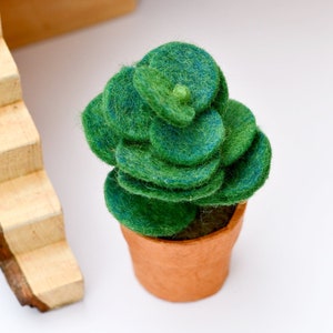 Pode incluir: Uma pequena planta suculenta em vaso feita de feltro. A planta é verde e tem uma forma circular em camadas. O vaso é castanho.