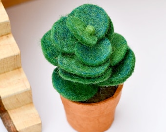 Felt Green Jade Succulent Plant with Handmade Lokta Paper Pot, Felt Indoor Succulent Plant