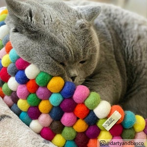 May include: A gray cat resting on a colorful felt ball bed. The bed is made of various colored felt balls, including red, orange, yellow, green, blue, and purple. The cat is curled up, with its head resting on the bed. The bed has a small tag that says "taratie".