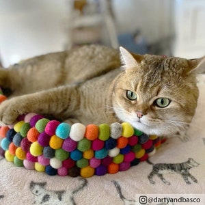 May include: A golden-brown cat rests in a colorful felt ball bed. The bed's rim is made of vibrant, multi-colored felt balls, including pink, blue, yellow, and green. The cat has green eyes and is looking at the camera. The bed is on a patterned surface.