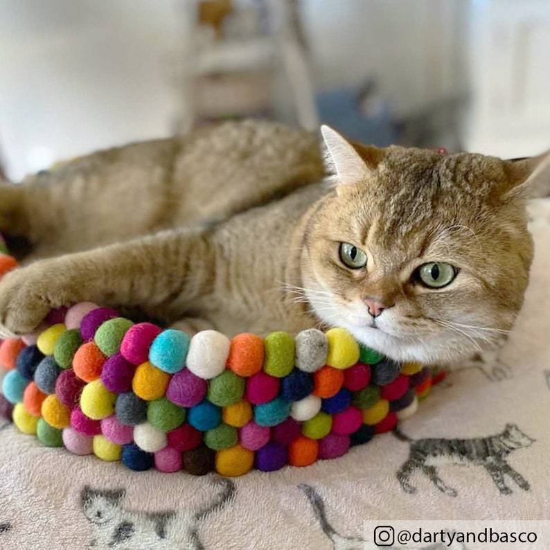 May include: A golden-brown cat rests in a colorful felt ball bed. The bed's rim is made of vibrant, multi-colored felt balls, including pink, blue, yellow, and green. The cat has green eyes and is looking at the camera. The bed is on a patterned surface.