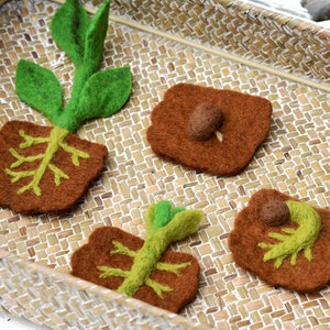May include: Handmade felt plant and soil pieces in a woven tray. The set includes brown soil squares with seeds and green sprouts. One piece shows a plant with roots and leaves. The felt pieces are brown, green, and tan.