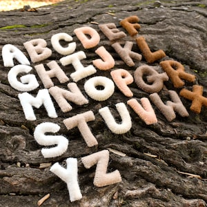 Alfabeto de fieltro con letras mayúsculas en colores terrosos